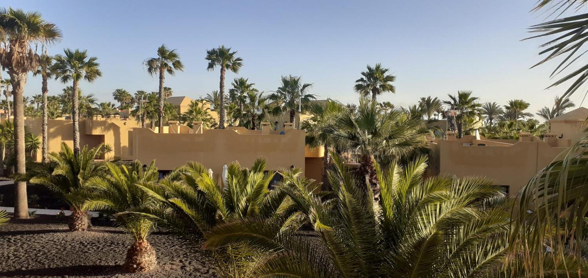 Oasis Waves House Papagayo Lägenhet Corralejo Exteriör bild