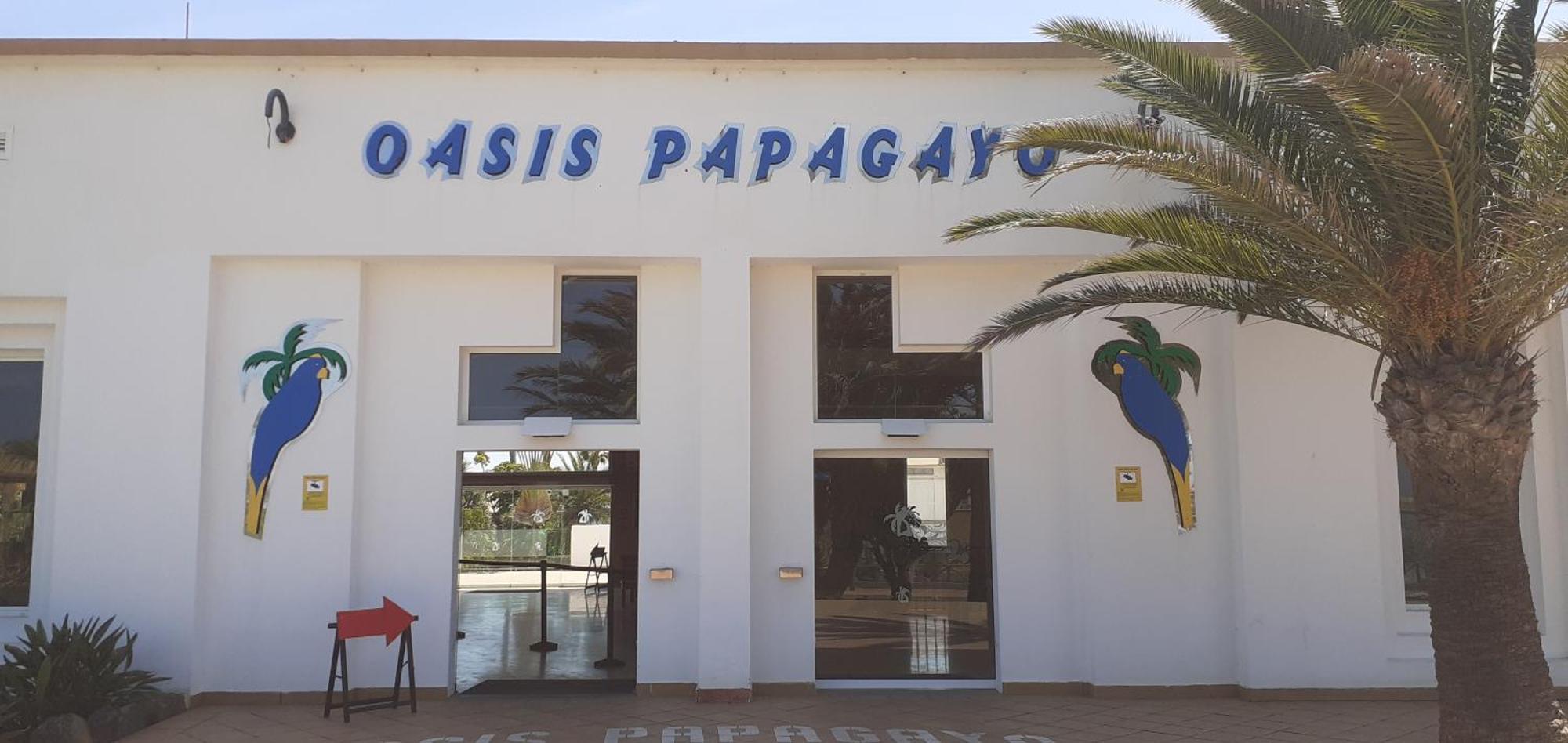 Oasis Waves House Papagayo Lägenhet Corralejo Exteriör bild